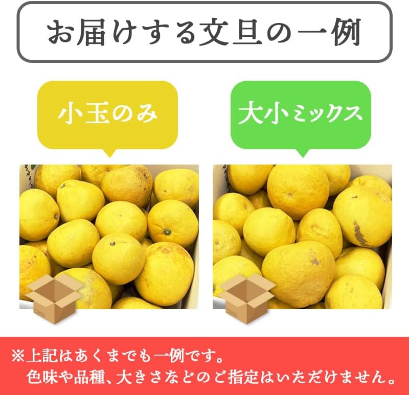 土佐文旦 訳あり サイズお任せ5kg（300g～1kg 約15玉） ／サイズお任せ10kg（300g～1kg 約25玉）／小玉のみ5kg（140g～300g 約20玉）／小玉のみ10kg（140g～300g 約40玉） 文旦 ぶんたん ブンタン 高知県産 サイズお任せ ご家庭用 スレ 汚れ 黒点あり