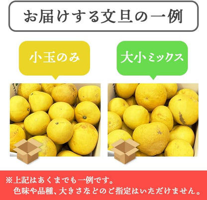 土佐文旦 訳あり サイズお任せ5kg（300g～1kg 約15玉） ／サイズお任せ10kg（300g～1kg 約25玉）／小玉のみ5kg（140g～300g 約20玉）／小玉のみ10kg（140g～300g 約40玉） 文旦 ぶんたん ブンタン 高知県産 サイズお任せ ご家庭用 スレ 汚れ 黒点あり