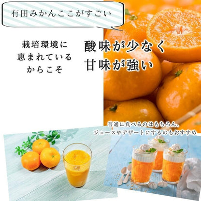 有田みかん　ご家庭用　1.5kg／3kg／5kg／10kg　和歌山県産　【スレ、汚れ、黒点あり】　