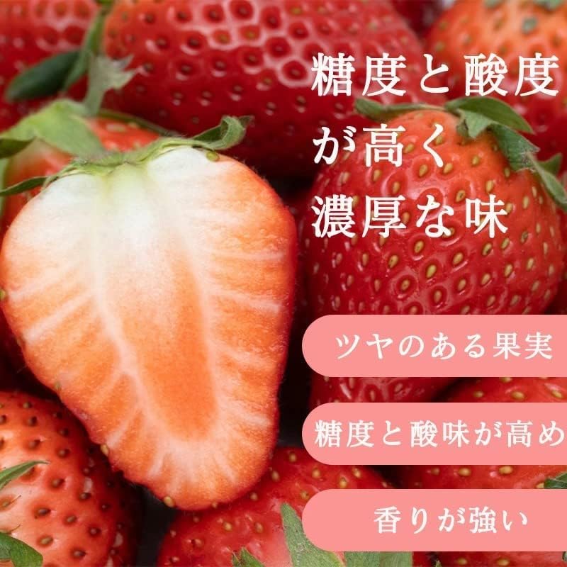 いちご　古都華　270g 2パック　奈良県産　【クール便対応】