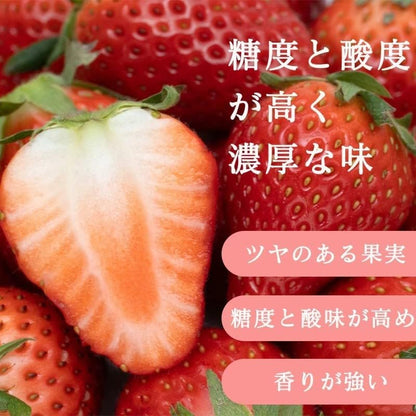 いちご　古都華　270g 2パック　奈良県産　【クール便対応】