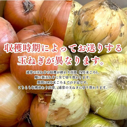 玉ねぎ 淡路島 3kg／5kg／10kg サイズお任せ(M〜2L) 国産 皮茶 玉葱 たまねぎ タマネギ 皮 保存野菜 常備野菜