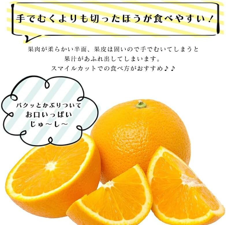 清見オレンジ 3kg／5kg／10kg 和歌山産 訳あり ご家庭用 箱 きよみ 清見タンゴール