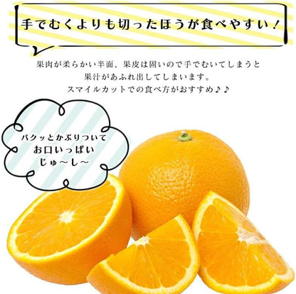 清見オレンジ 3kg／5kg／10kg 和歌山産 訳あり ご家庭用 箱 きよみ 清見タンゴール