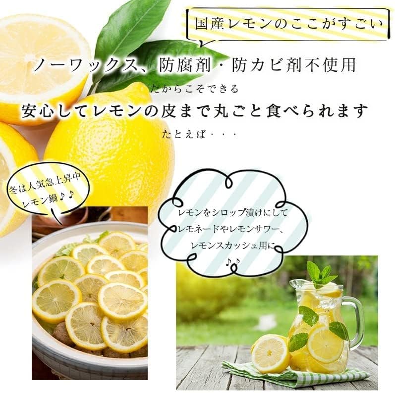 レモン 国産 訳あり 1kg/2kg/3kg/5kg 皮まで食べられる ノーワックス 防腐剤 防カビ剤 不使用