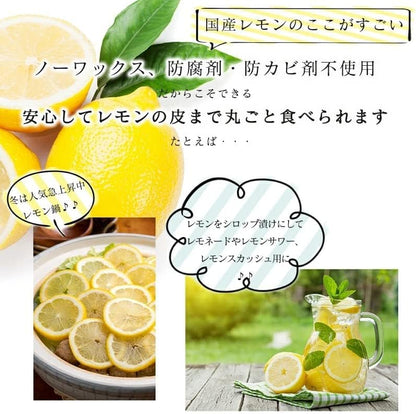 レモン 国産 訳あり 1kg/2kg/3kg/5kg 皮まで食べられる ノーワックス 防腐剤 防カビ剤 不使用