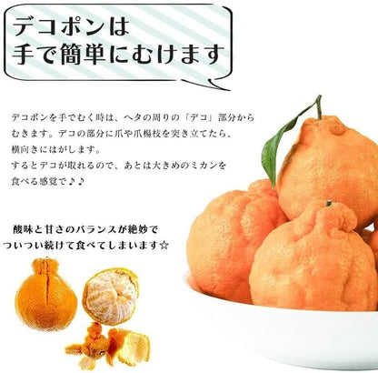 デコポン 訳あり 和歌山産2kg/5kg10kg 国産 (傷・変形・黒シミ・サイズ不揃い・サイズ偏りあり) でこぽん 不知火 しらぬい 柑橘 甘い 大玉 箱 みかん