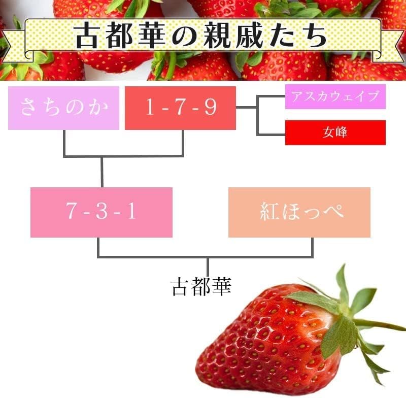 いちご　古都華　270g 2パック　奈良県産　【クール便対応】