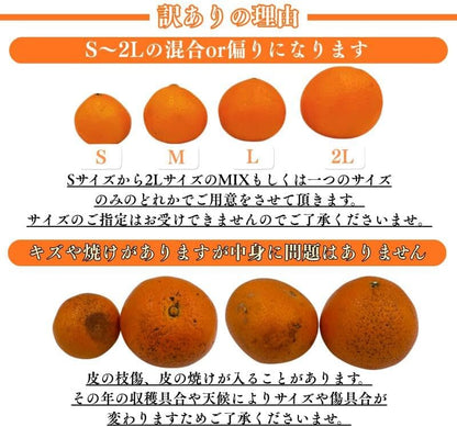 プリンセス1kg／2kg ／5kg ぷりんせす 訳あり 愛媛県産