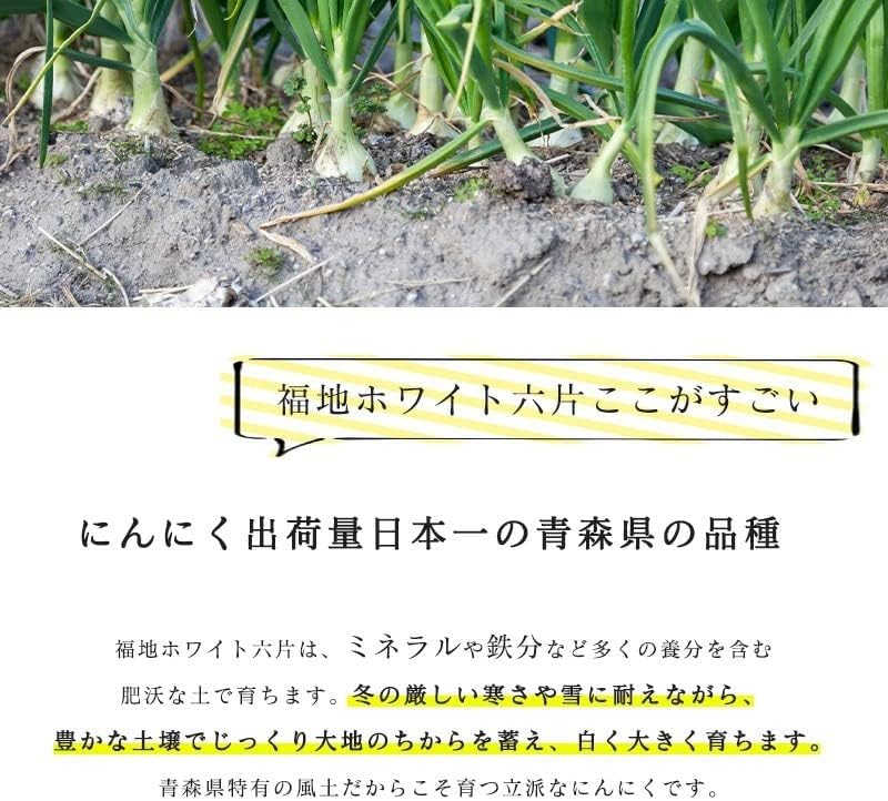 にんにく 訳あり 国産 1kg 青森産 ニンニク 大きさ おまかせ 福地ホワイト六片種