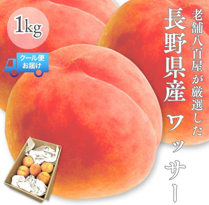 ワッサー1kg／2kg／ 4kg ＜クール便＞ 桃 訳あり ネクタリン 硬い桃 長野県産 果物 フルーツ 自宅用