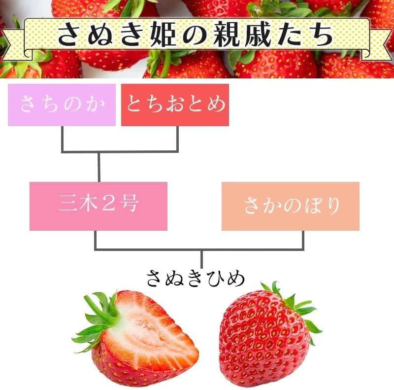 いちご　さぬきひめ　270g 2パック　香川県産【デラックス　クール便対応】