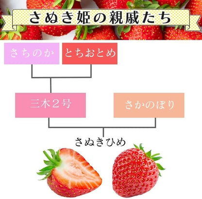 いちご　さぬきひめ　270g 2パック　香川県産【デラックス　クール便対応】