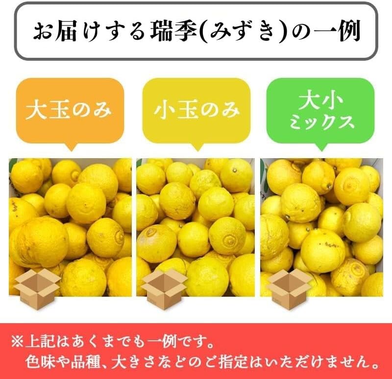 瑞季 3kg／ 5kg／10kg みずき 訳あり 広島県産 水晶文旦 × サザンイエロー  ご家庭用 スレ 汚れ 黒点あり