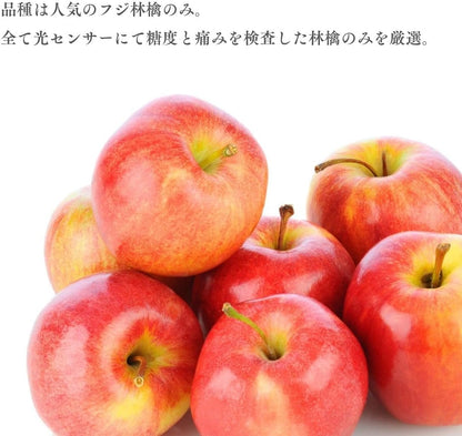 りんご 特選 ギフト 化粧箱 糖度13.5度以上 ふじ 【光センサー選別品】約1.2kg ／約2.5kg 青森県産 長野県産 林檎 箱 リンゴ