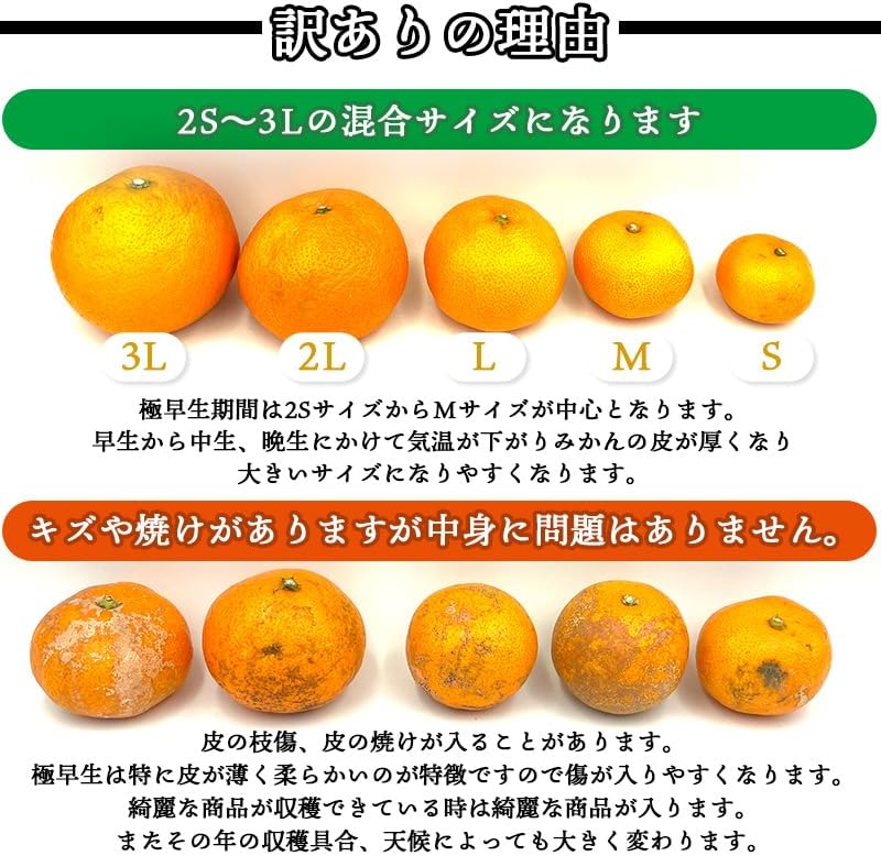 有田みかん　ご家庭用　1.5kg／3kg／5kg／10kg　和歌山県産　【スレ、汚れ、黒点あり】　