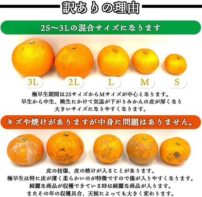有田みかん　ご家庭用　1.5kg／3kg／5kg／10kg　和歌山県産　【スレ、汚れ、黒点あり】　