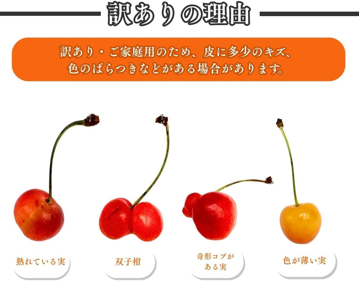 <予約開始> さくらんぼ 訳あり 山形県 700g／1kg／2kg／5kg 品種お任せ <クール便> S～2Lサイズ混合 バラ詰め サクランボ ご家庭用 (6月下旬頃から発送予定)