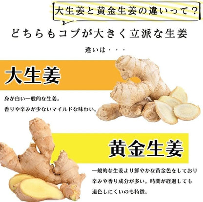 生姜 訳あり1kg/2kg 国産 大生姜 高知県産 ショウガ しょうが 野菜