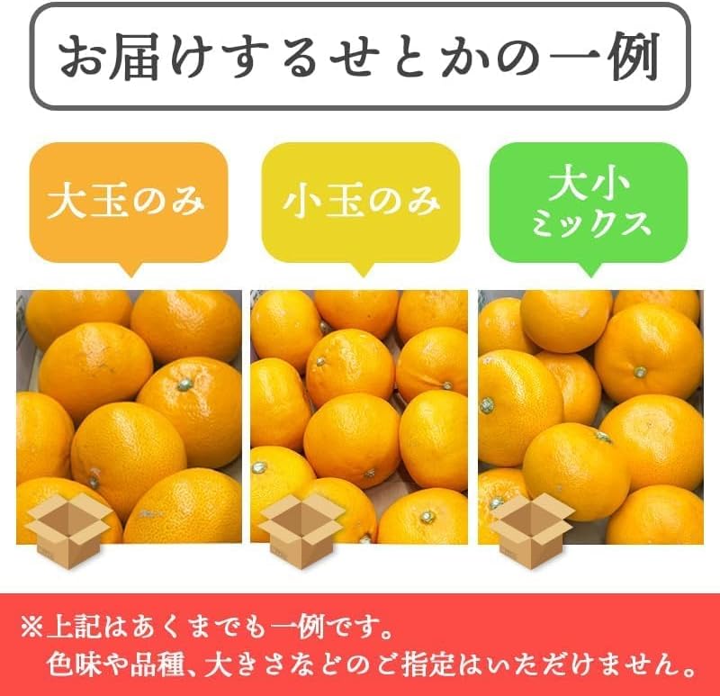 せとか 訳あり 愛媛県産 1kg／ 2kg／5kg／10kg サイズお任せ（Mサイズ多め） みかん 柑橘 家庭用