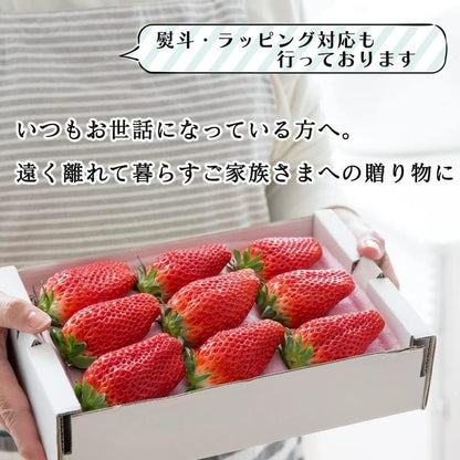 いちご　さぬきひめ　270g 2パック　香川県産【デラックス　クール便対応】