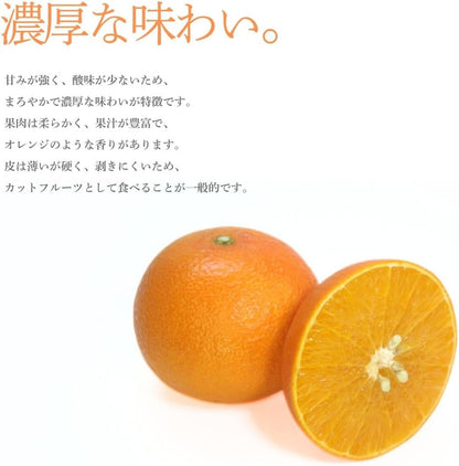 天草みかん 1kg／2kg／5kg あまくさ 訳あり みかん 愛媛県産 柔らかい
