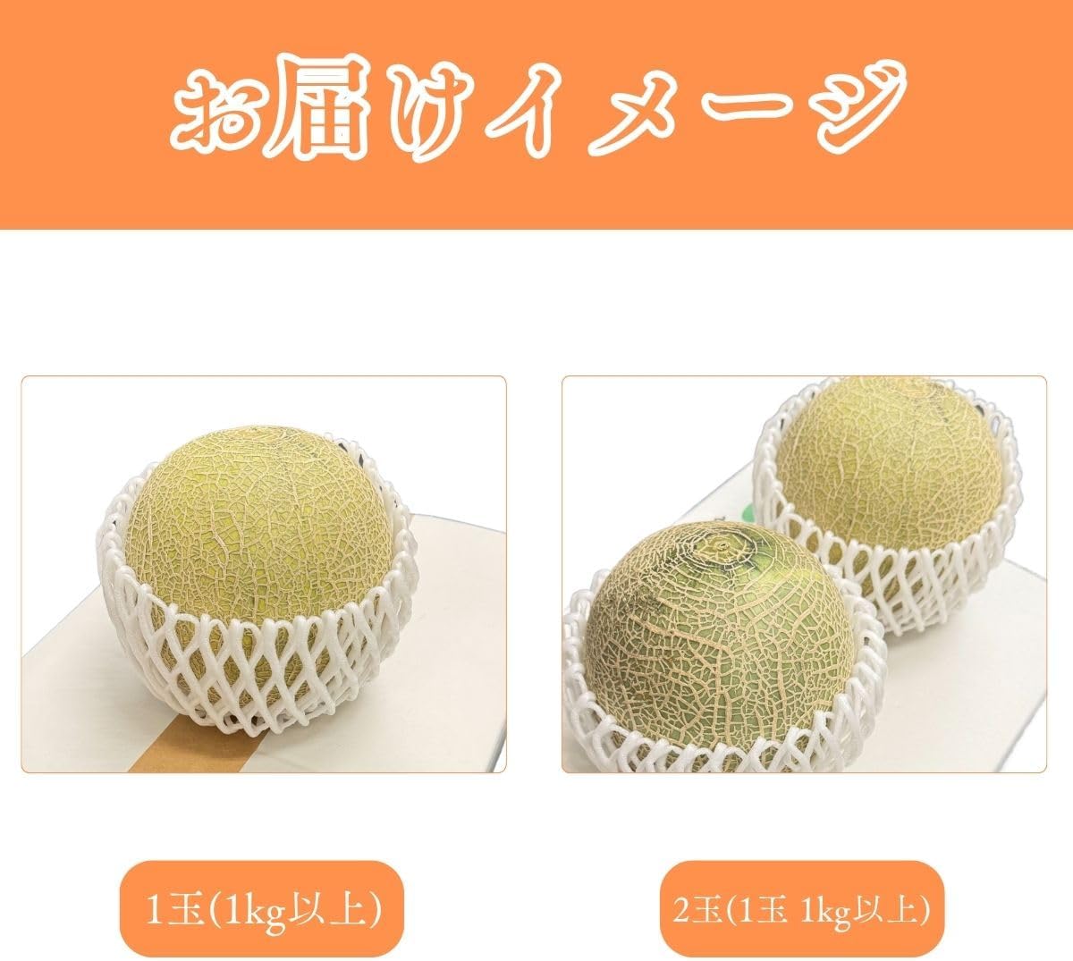 メロン 赤肉メロン  1玉（1kg以上）／1玉（1kg以上 化粧箱入り）／2玉（1玉 1kg以上）大玉 訳あり 熊本県産  めろん クインシーメロン
