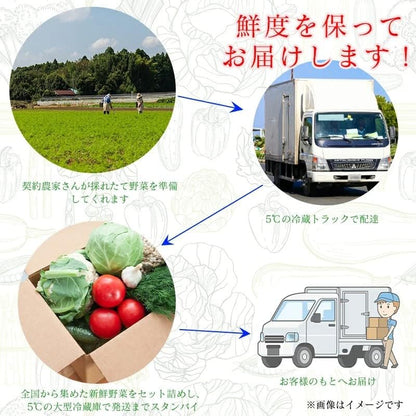 生姜 訳あり1kg/2kg 国産 大生姜 高知県産 ショウガ しょうが 野菜