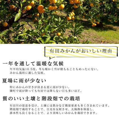 有田みかん　ご家庭用　1.5kg／3kg／5kg／10kg　和歌山県産　【スレ、汚れ、黒点あり】　