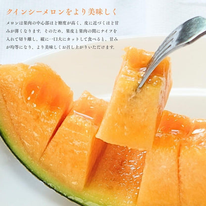 メロン 赤肉メロン  1玉（1kg以上）／1玉（1kg以上 化粧箱入り）／2玉（1玉 1kg以上）大玉 訳あり 熊本県産  めろん クインシーメロン