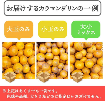 カラマンダリン　 ご家庭用　2kg／5kg／10kg　愛媛県産　【濃厚　ジューシー　スレ、汚れ、黒点あり】