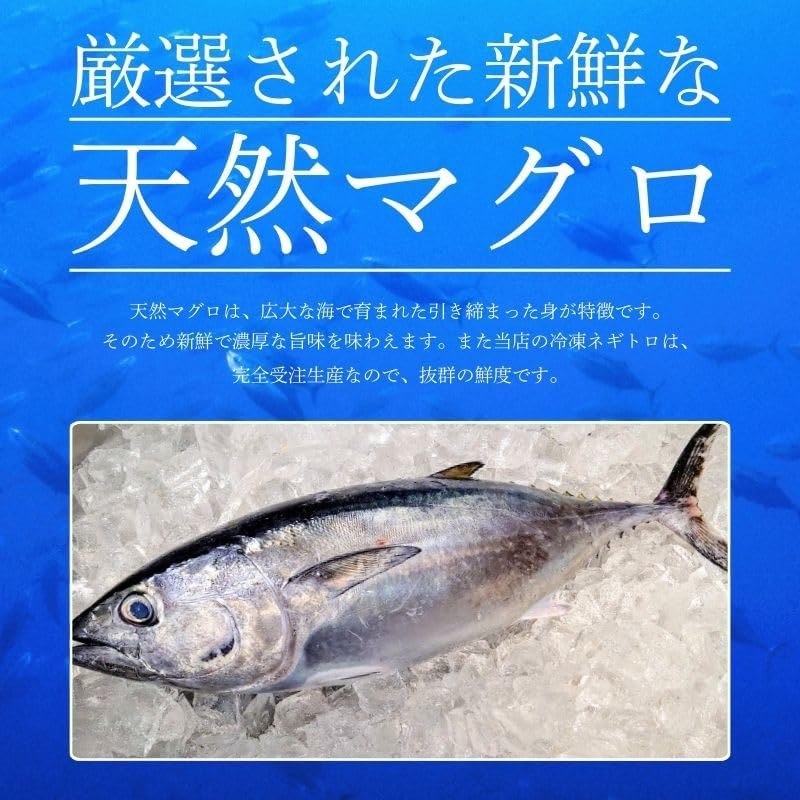 【使い切りサイズ】 ねぎとろ 小分け 100g×5パック(500g)/100g×10パック (1kg) 冷凍 マグロ ネギトロ 天然まぐろ 海鮮丼 お刺身 マグロたたき まぐろのたたき [みさわのやさい]