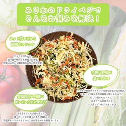 乾燥野菜 国産 ドライベジ 緑黄色野菜 ミックス 160g ＜ 大正2年創業の八百屋が真剣に考えたドライベジ ＞ 管理栄養士監修 カット野菜 野菜ミックス ドライベジタブル 緑黄野菜