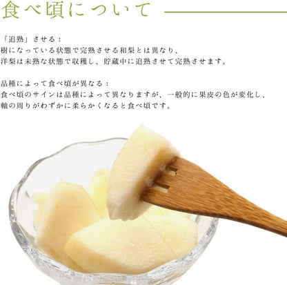 洋梨　ご家庭用　1kg／2kg／4kg／5kg　長野県産　【品種混在　品種お任せ(ラ・フランス　ル・レクチェ　オーロラ)】