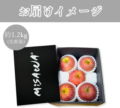 りんご 特選 ギフト 化粧箱 糖度13.5度以上 ふじ 【光センサー選別品】約1.2kg ／約2.5kg 青森県産 長野県産 林檎 箱 リンゴ