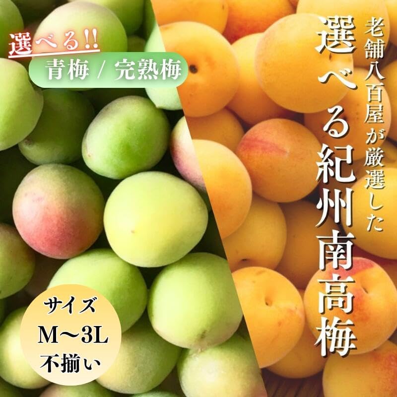 南高梅 生梅完熟梅/青梅/冷凍完熟梅 訳あり サイズ混合( L~3L ) おまかせ 和歌山県1kg/2kg/3kg/5kg/10kg うめ ご家庭用 紀州 なんこうばい