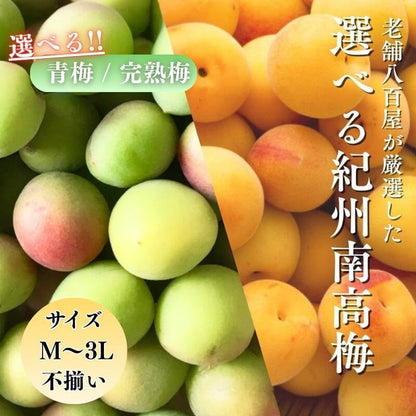 南高梅 生梅完熟梅/青梅/冷凍完熟梅 訳あり サイズ混合( L~3L ) おまかせ 和歌山県1kg/2kg/3kg/5kg/10kg うめ ご家庭用 紀州 なんこうばい