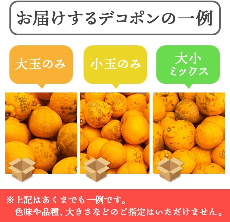 デコポン 訳あり 和歌山産2kg/5kg10kg 国産 (傷・変形・黒シミ・サイズ不揃い・サイズ偏りあり) でこぽん 不知火 しらぬい 柑橘 甘い 大玉 箱 みかん