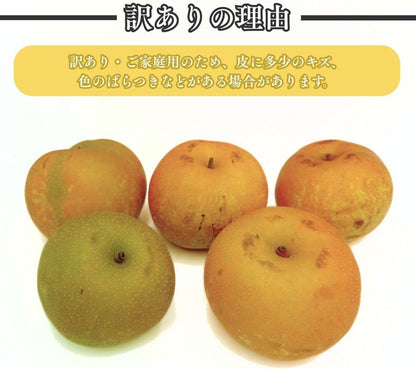 梨　ご家庭用　 3kg／5kg／10kg　長野県産　【品種お任せ（幸水 豊水 南水等のいずれか）】
