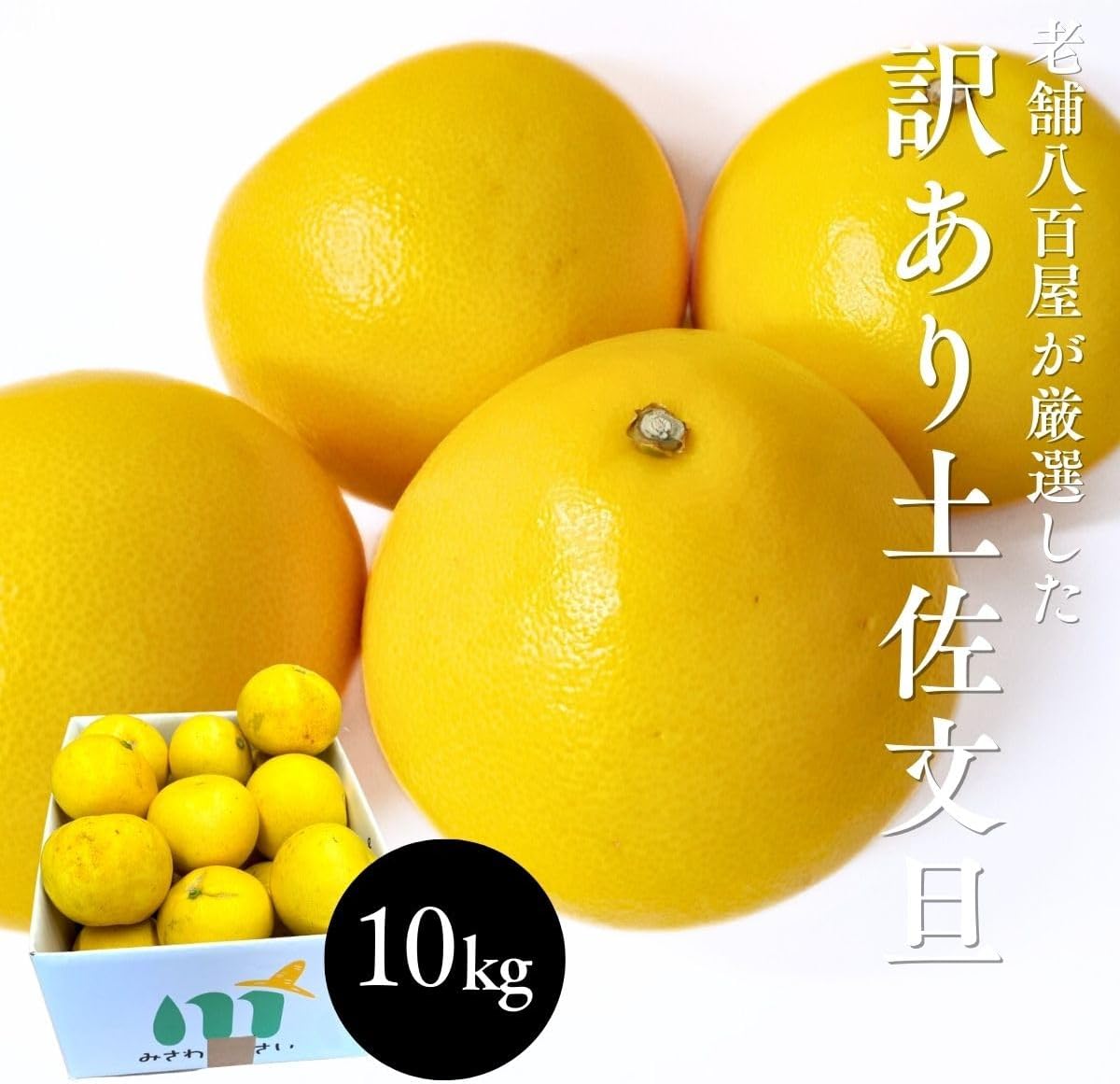 土佐文旦 訳あり サイズお任せ5kg（300g～1kg 約15玉） ／サイズお任せ10kg（300g～1kg 約25玉）／小玉のみ5kg（140g～300g 約20玉）／小玉のみ10kg（140g～300g 約40玉） 文旦 ぶんたん ブンタン 高知県産 サイズお任せ ご家庭用 スレ 汚れ 黒点あり