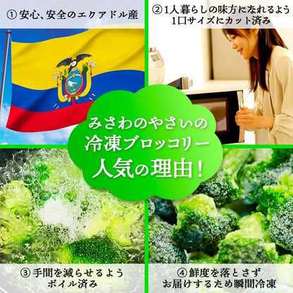 エクアドル産 ブロッコリー 冷凍 ＼自然解凍でそのまま使える／ 500g／1kg (500gｘ2パック) ／1.5kg (500gｘ3パック) ／2kg (500gｘ4パック) カット済み