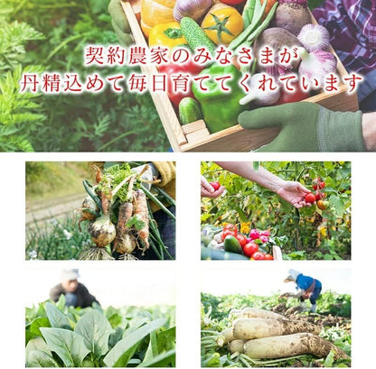 鮭フレーク 紅鮭 無着色 小分け 真空パック 冷凍 250g ／500g（250g×2）／1kg（250g x4） アメリカ産 長期保存 鮭ほぐし しゃけ