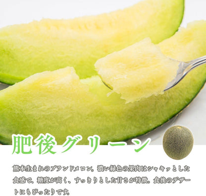 青肉メロン　贈答用　1玉(1kg以上)　熊本県産　【アンデスメロン・タカミメロン・肥後グリーンのいずれか　大玉　化粧箱入り】