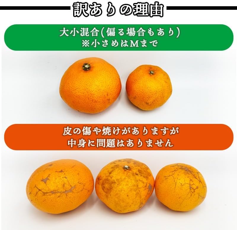 甘平みかん　ご家庭用　2kg／5kg　愛媛県産　【スレ、汚れ、黒点あり】