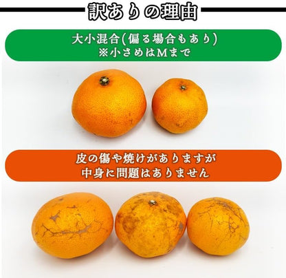 甘平みかん　ご家庭用　2kg／5kg　愛媛県産　【スレ、汚れ、黒点あり】