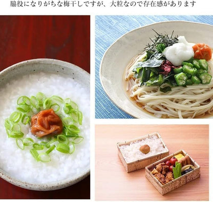 梅干し 白干し 紀州南高梅 無添加 大粒 塩分20% 3L～4L 訳あり 400g／400g x2／400g×3／400g×4 酸っぱい 国産 和歌山 なんこう梅