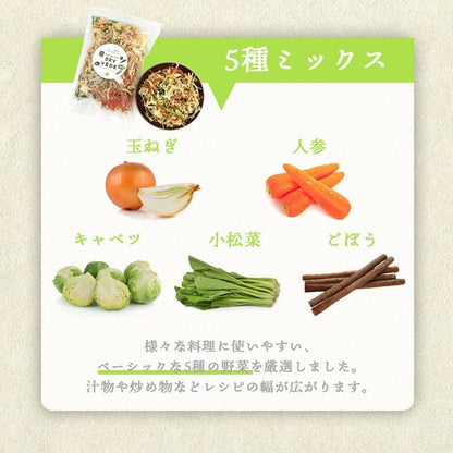 乾燥野菜 国産 ドライベジ 5種ミックス100g ／200g／ 緑黄色野菜ミックス 160g ／ 根菜ミックス 150g ＜大正2年創業の八百屋が真剣に考えたドライベジ ＞ 管理栄養士監修 カット野菜 野菜ミックス ドライベジタブル フリーズドライ 野菜