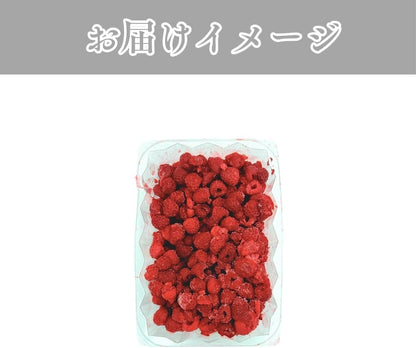 ラズベリー 冷凍500g／ 1kg (500g x 2パック) ホール 大粒 砂糖不使用 チリ産 冷凍ラズベリー