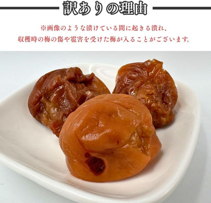 梅干し 白干し 紀州南高梅 無添加 大粒 塩分20% 3L～4L 訳あり 400g／400g x2／400g×3／400g×4 酸っぱい 国産 和歌山 なんこう梅