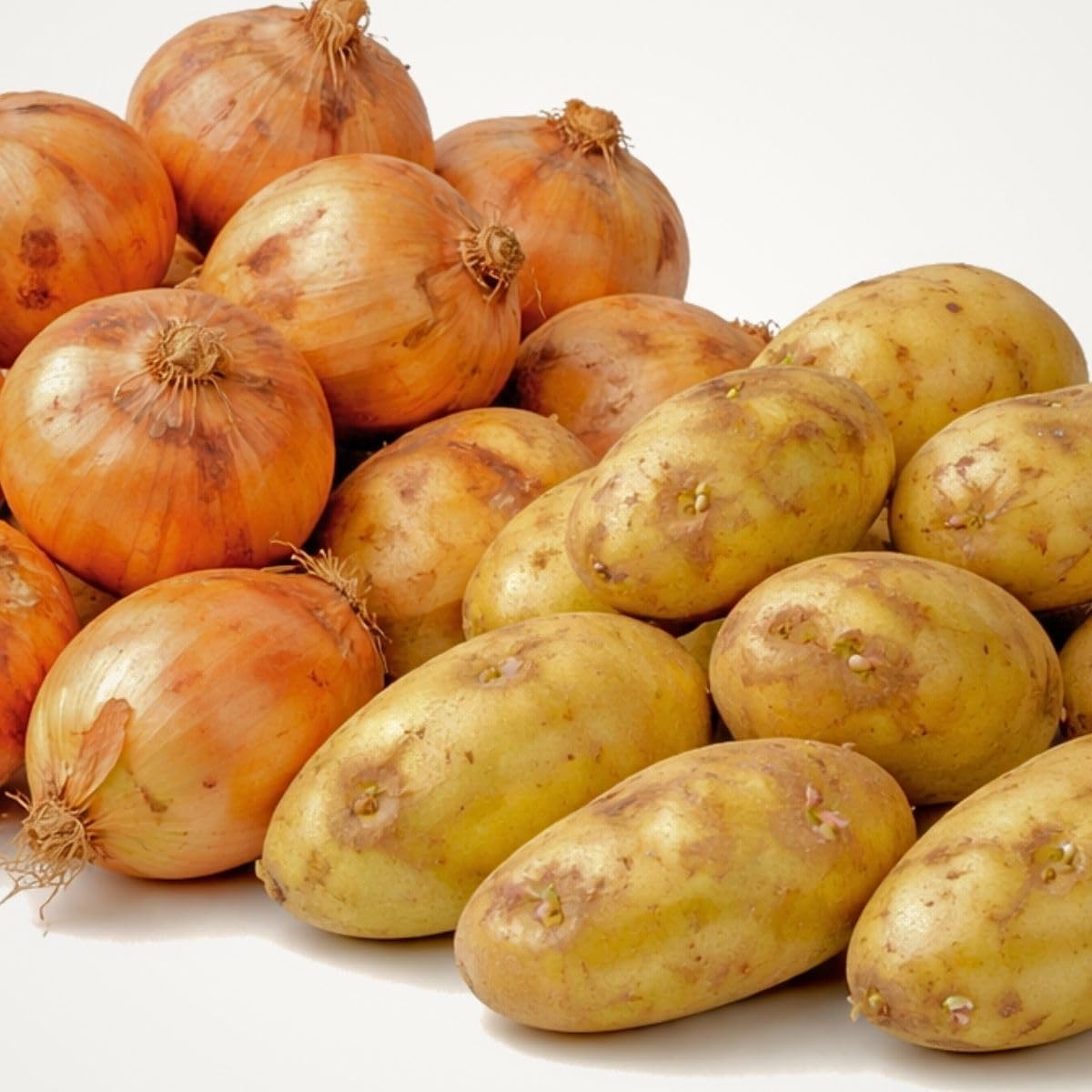 選べる野菜セット  2種/3種/4種　 5kg 詰め合わせ 北海道産